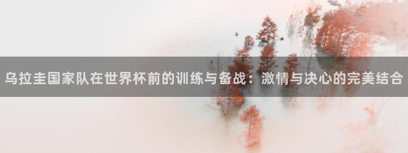 乌拉圭国家队在世界杯前的训练与备战：