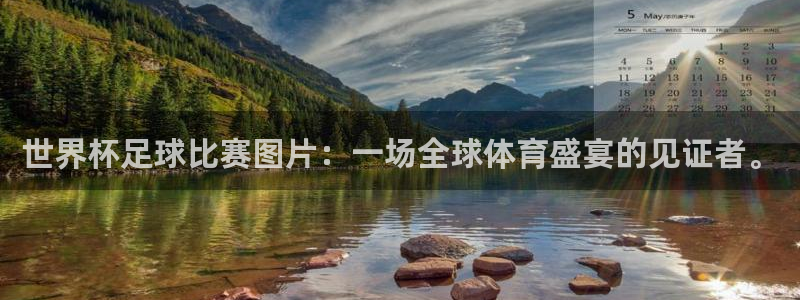 世界杯足球比赛图片：一场全球体育盛宴的见证者。
