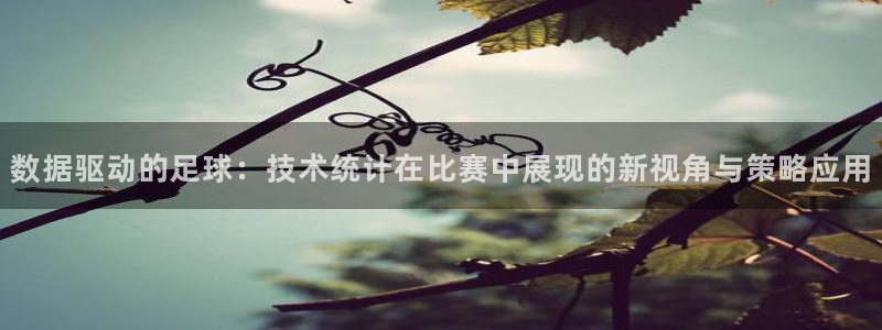  数据驱动的足球：技术统计在比赛中展现的新视角与策略应用