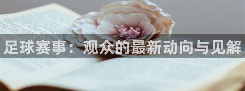  足球赛事：观众的最新动向与见解