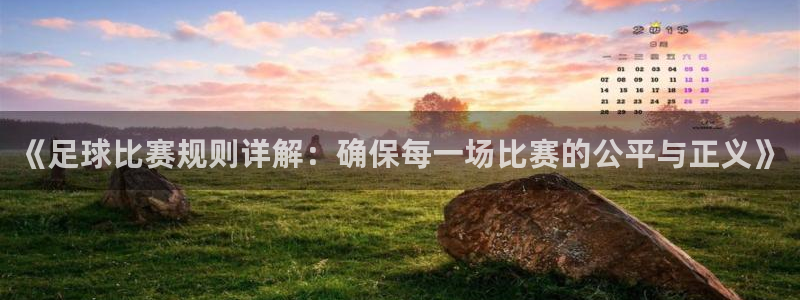  《足球比赛规则详解：确保每一场比赛的公平与正义》