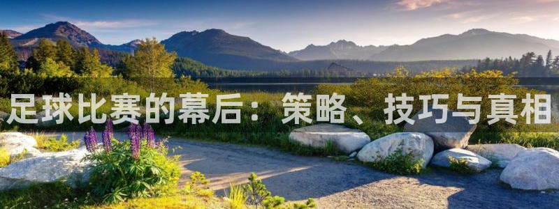 足球比赛的幕后：策略、技巧与真相