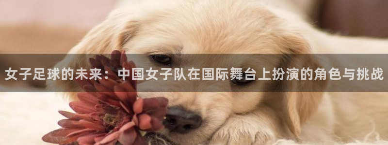  女子足球的未来：中国女子队在国际舞台上扮演的角色与挑战