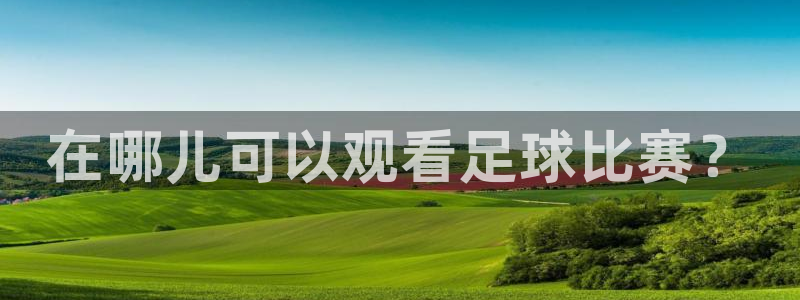 在哪儿可以观看足球比赛？