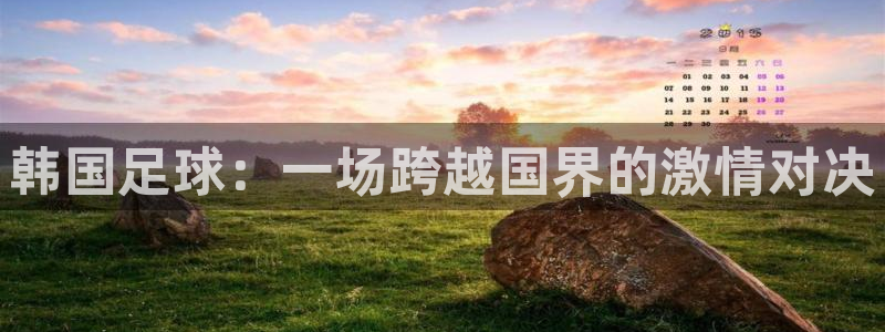 韩国足球：一场跨越国界的激情对决