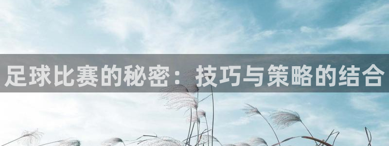 足球比赛的秘密：技巧与策略的结合