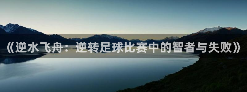 《逆水飞舟：逆转足球比赛中的智者与失败》