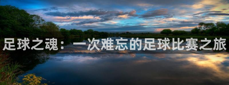  足球之魂：一次难忘的足球比赛之旅