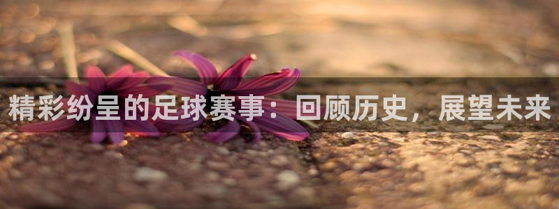  精彩纷呈的足球赛事：回顾历史，展望未来