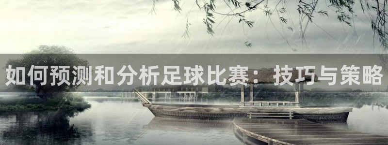 如何预测和分析足球比赛：技巧与策略