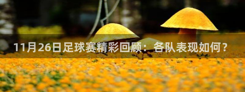 11月26日足球赛精彩回顾：各队表现