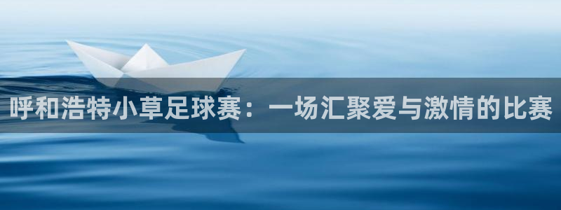 呼和浩特小草足球赛：一场汇聚爱与激情