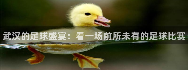 武汉的足球盛宴：看一场前所未有的足球