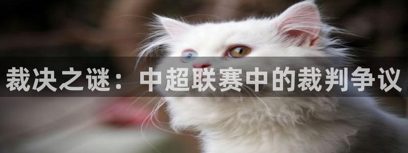 裁决之谜：中超联赛中的裁判争议