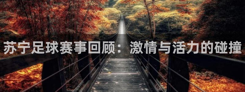  苏宁足球赛事回顾：激情与活力的碰撞