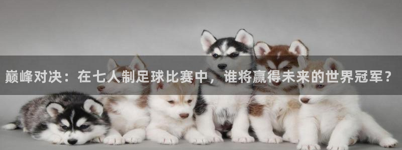  巅峰对决：在七人制足球比赛中，谁将赢得未来的世界冠军？