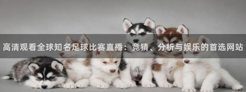 高清观看全球知名足球比赛直播:竞猜、分析与娱乐的首选网站