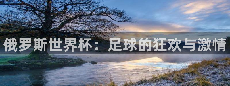 俄罗斯世界杯：足球的狂欢与激情