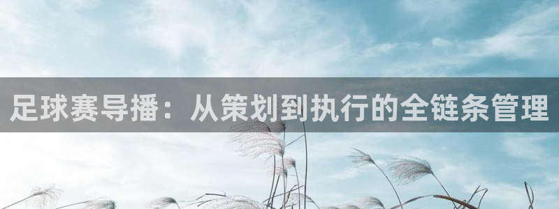 足球赛导播:从策划到执行的全链条管理
