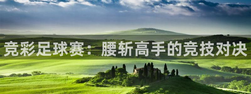 竞彩足球赛:腰斩高手的竞技对决