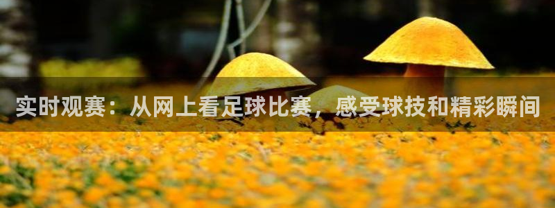 实时观赛:从网上看足球比赛,感受球技和精彩瞬间