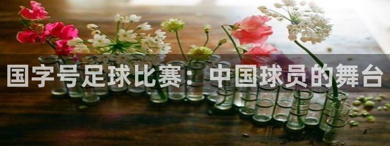 国字号足球比赛：中国球员的舞台