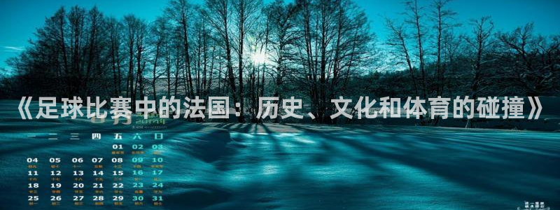  《足球比赛中的法国：历史、文化和体育的碰撞》