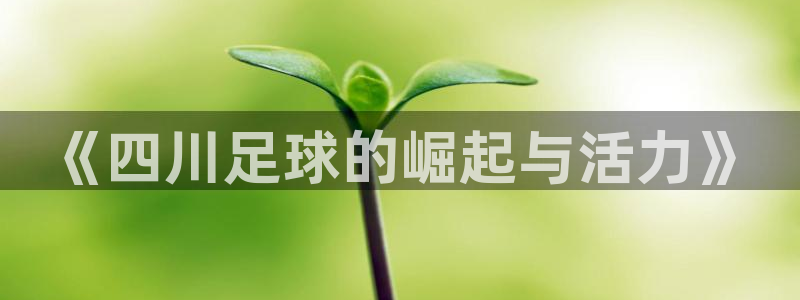《四川足球的崛起与活力》