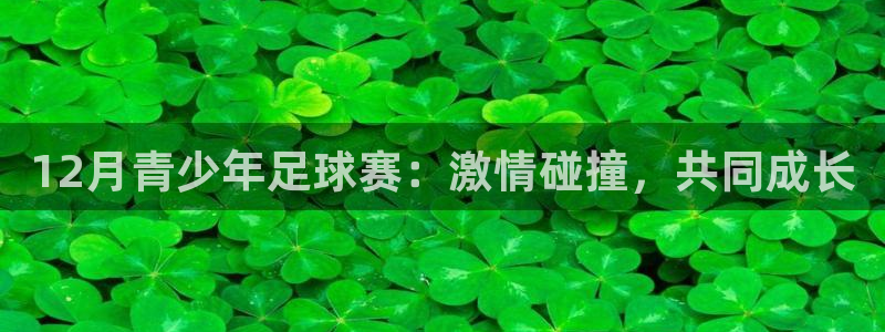 12月青少年足球赛：激情碰撞，共同成长