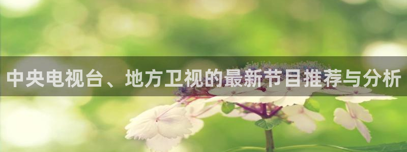 球神足球直播在线观看：中央电视台、地方卫视的最新节目推荐与分析