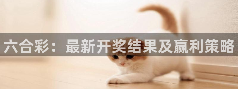qszb球神直播：六合彩：最新开奖结果及赢利策略
