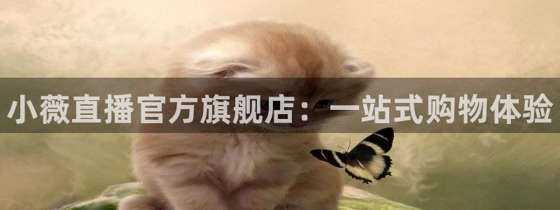 球神在线直播：小薇直播官方旗舰店：一站式购物体验