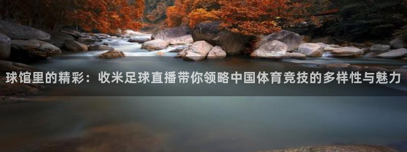 球神体育nba直播：球馆里的精彩：收米足球直播带你领略中国体育竞技的多样性与魅力
