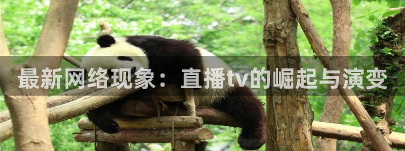球神直播免费体育直播：最新网络现象：直播tv的崛起与演变
