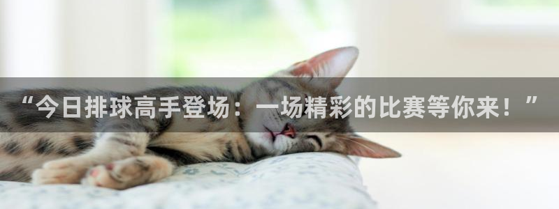 球神直播体育免费观看：“今日排球高手登场：一场精彩的比赛等你来！”