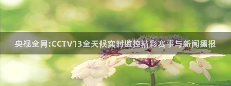 球神直播足球：央视全网:CCTV13全天候实时监控精彩赛事与新闻播报